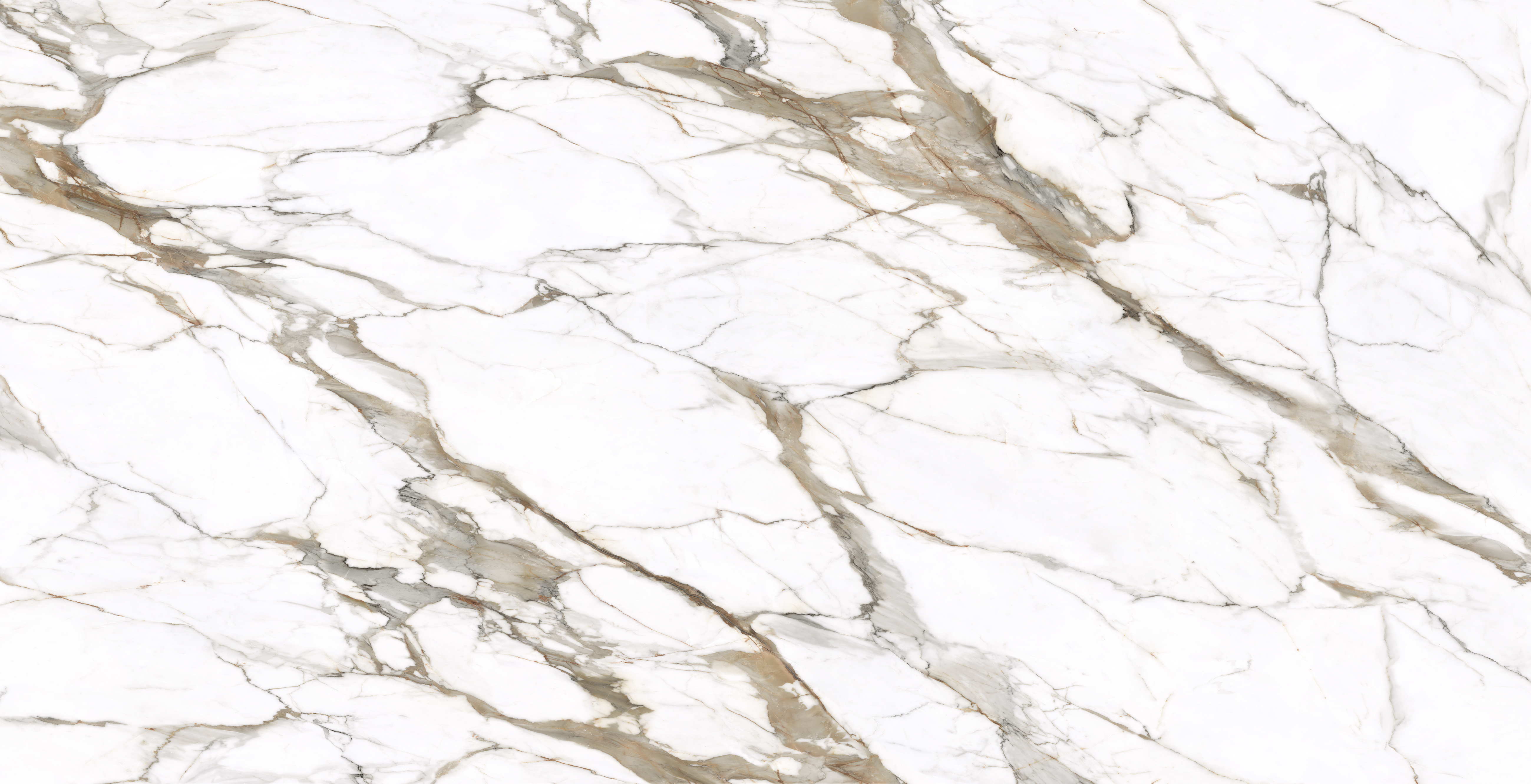 Calacatta Macchia Vecchia, 9101 — full slab